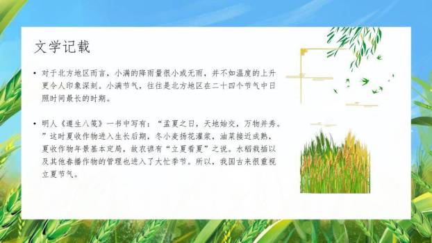 小满节气麦浪轻摇PPT模板8