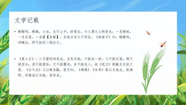 小满节气麦浪轻摇PPT模板9