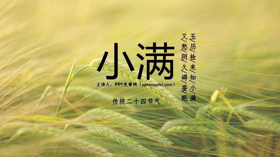 小满节气麦浪轻摇PPT模板0