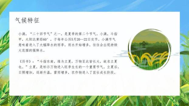 小满节气麦浪轻摇PPT模板1