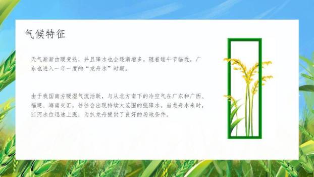 小满节气麦浪轻摇PPT模板2