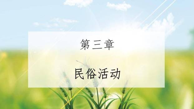 小满节气麦浪轻摇PPT模板3