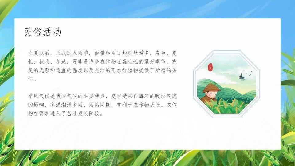 小满节气麦浪轻摇PPT模板4