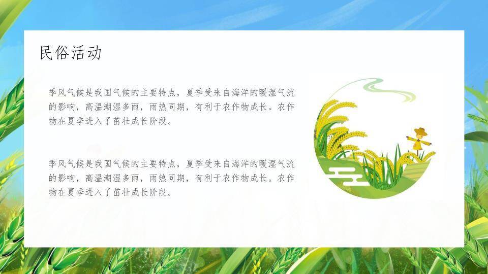 小满节气麦浪轻摇PPT模板5