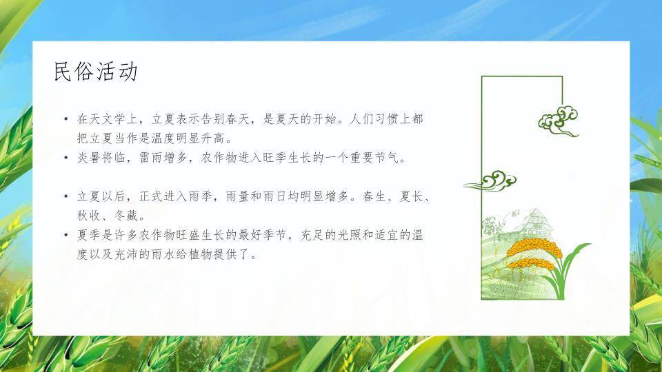 小满节气麦浪轻摇PPT模板6