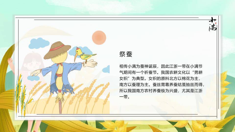 小满节气田园风光PPT模板8