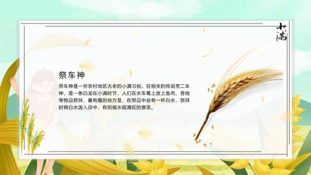 小满节气田园风光PPT模板9