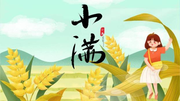 小满节气田园风光PPT模板0