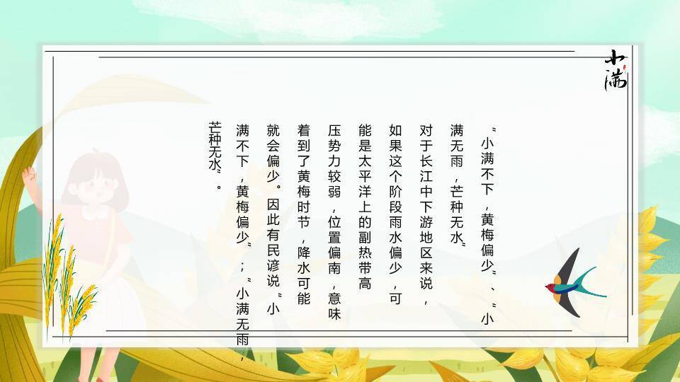 小满节气田园风光PPT模板3