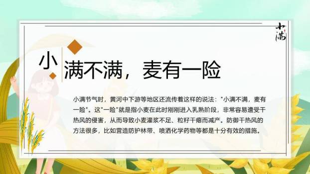 小满节气田园风光PPT模板4