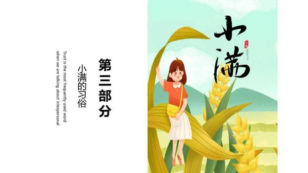 小满节气田园风光PPT模板5