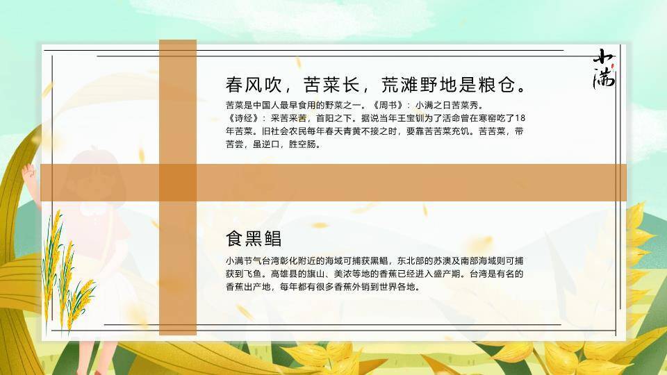 小满节气田园风光PPT模板6