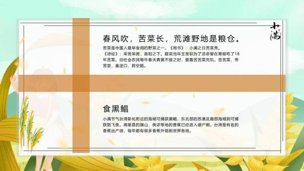 小满节气田园风光PPT模板6