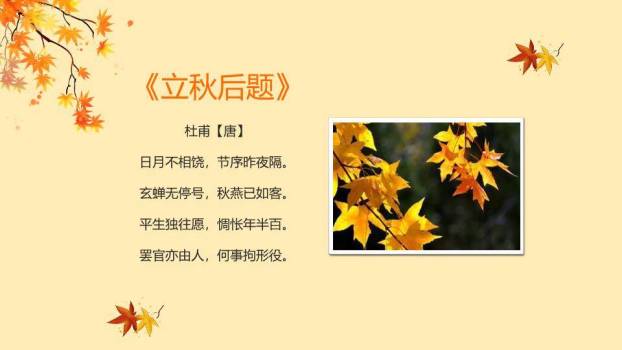 立秋节气秋意正浓PPT模板8
