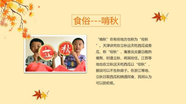 立秋节气秋意正浓PPT模板2