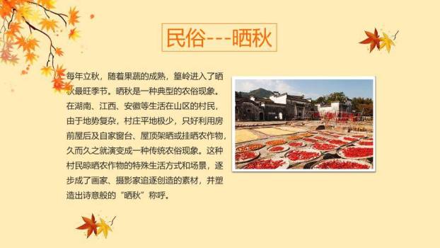 立秋节气秋意正浓PPT模板3