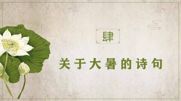 大暑节气古韵清雅PPT模板7