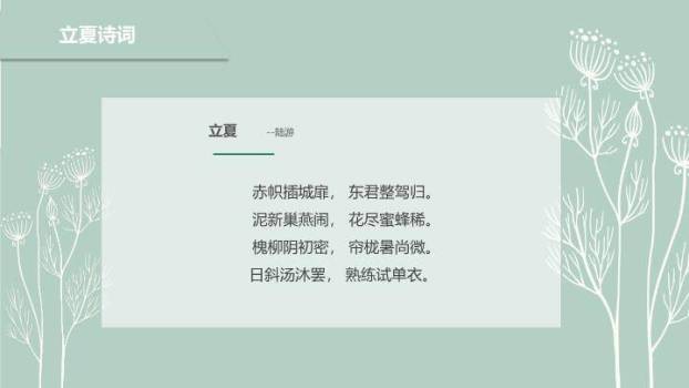 立夏节气简约清新PPT模板8
