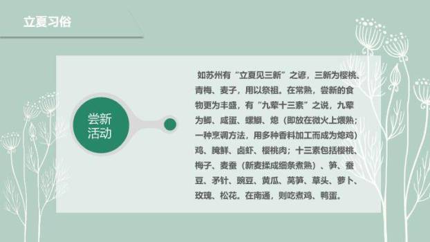 立夏节气简约清新PPT模板1