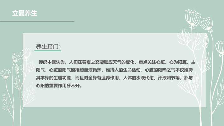 立夏节气简约清新PPT模板4