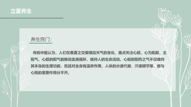 立夏节气简约清新PPT模板4