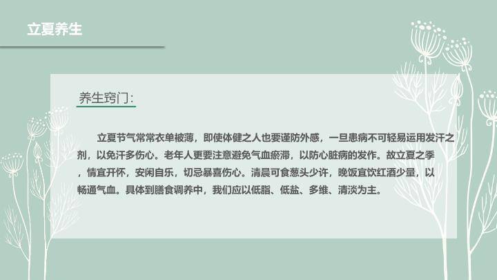 立夏节气简约清新PPT模板5