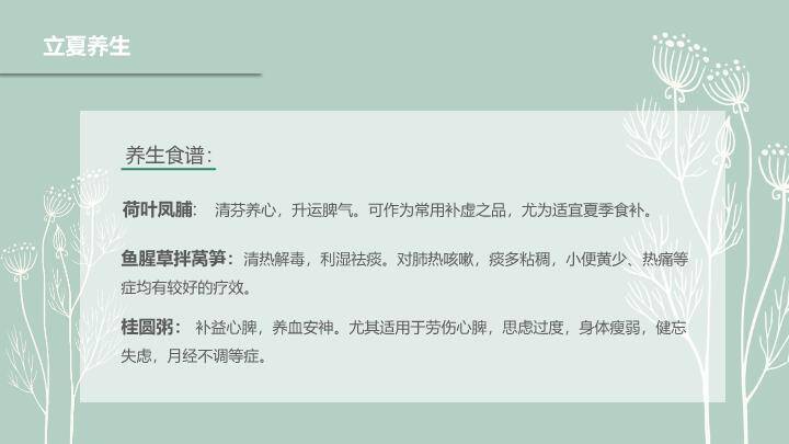 立夏节气简约清新PPT模板6
