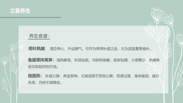 立夏节气简约清新PPT模板6