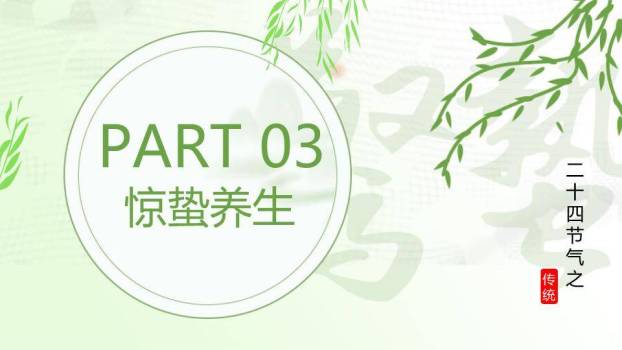 小暑节气清凉一夏PPT模板5