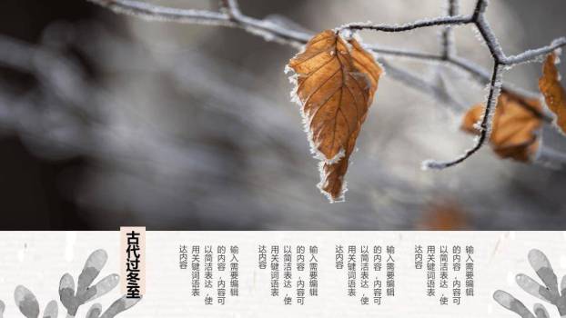 谷雨节气春耕时节PPT模板8