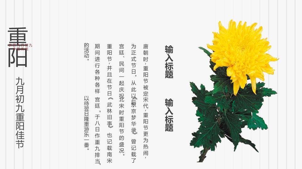 重阳节登高赏菊PPT模板8