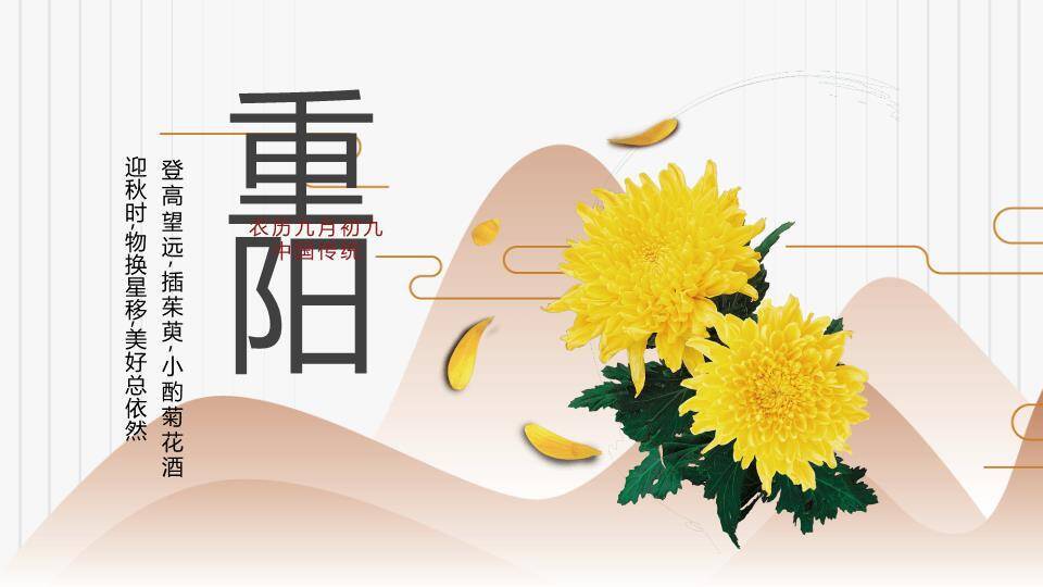 重阳节登高赏菊PPT模板0