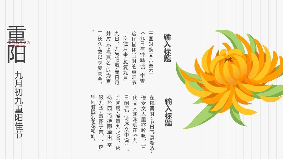 重阳节登高赏菊PPT模板6