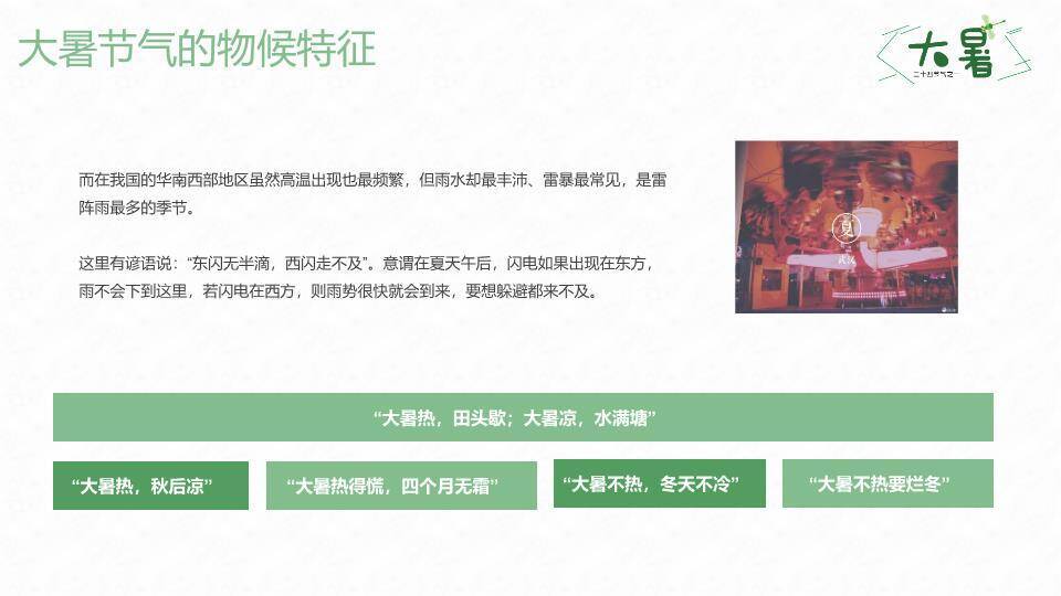 大暑节气荷塘清趣PPT模板8