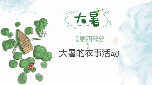 大暑节气荷塘清趣PPT模板9