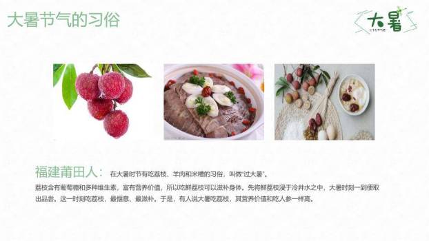 大暑节气荷塘清趣PPT模板1