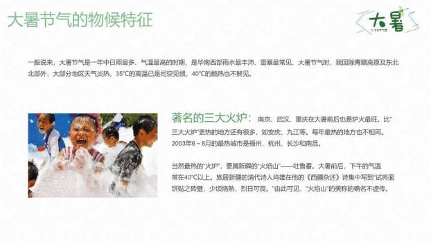 大暑节气荷塘清趣PPT模板6