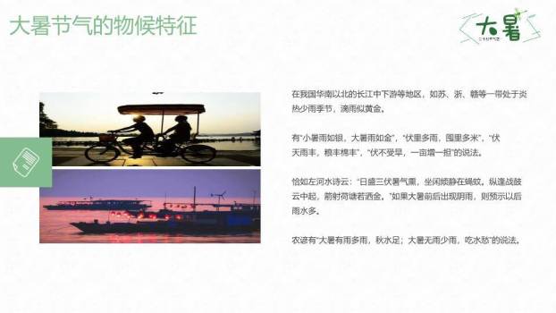 大暑节气荷塘清趣PPT模板7