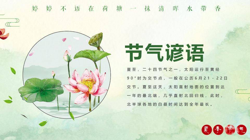 夏至荷塘清韵PPT模板7