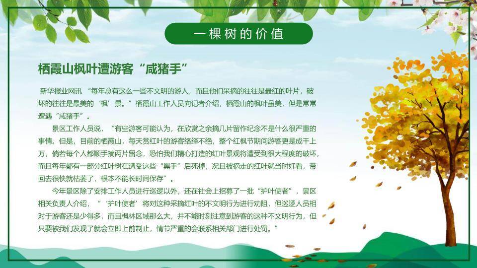 植树节主题班会绿色希望PPT模板5