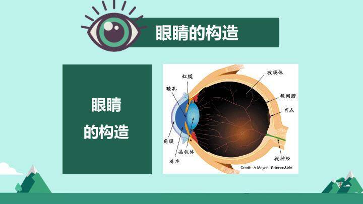 谷雨节气农耕文化PPT模板2