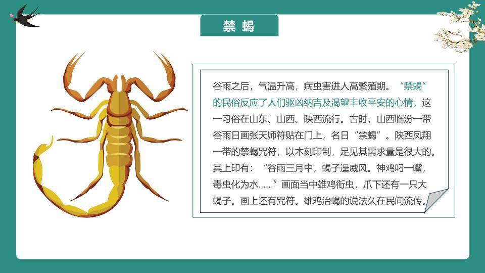 谷雨节气雨生百谷PPT模板1