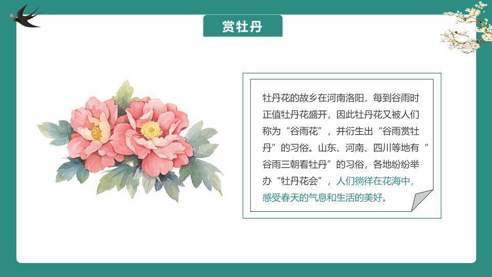 谷雨节气雨生百谷PPT模板2