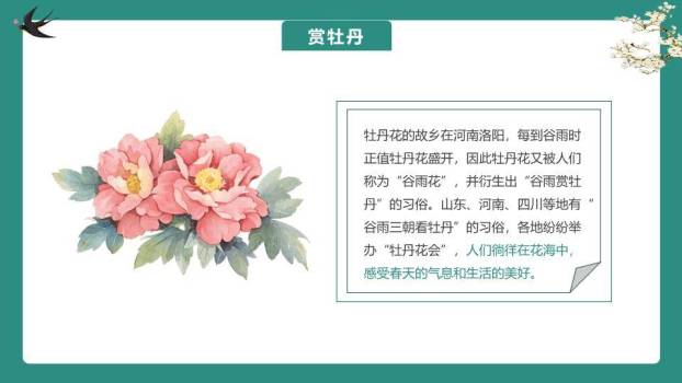 谷雨节气雨生百谷PPT模板2