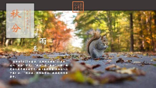 二十四节气文化传承PPT模板8