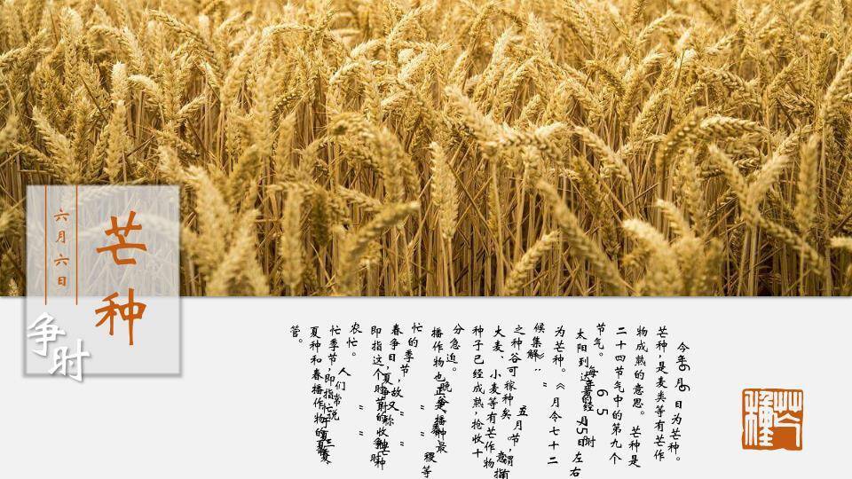 二十四节气文化传承PPT模板1