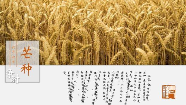 二十四节气文化传承PPT模板1