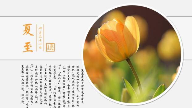 二十四节气文化传承PPT模板2