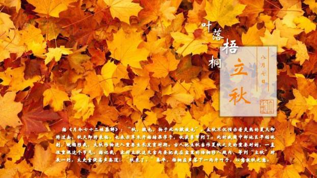 二十四节气文化传承PPT模板5