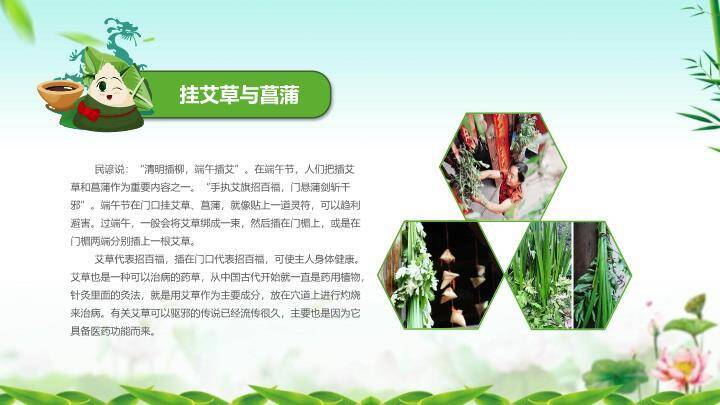 浓情端午粽香传情PPT模板4